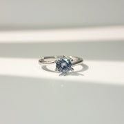 Vela-Ring